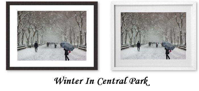 Winter In Central Park